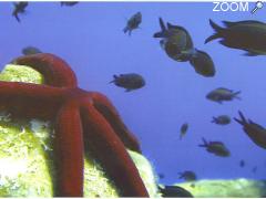 picture of SUB'EVASION